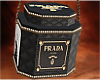Niki's Pradda Bag