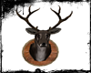 Mounted Deer Head