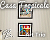 *B* Casa Tropical Art Tr