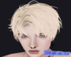 H ◄Asher►Blonde