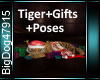 [BD]Tiger+Gifts+Poses