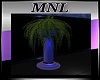 MNL Tall Party Plants
