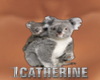 Koala & Joey Tat