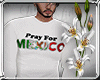 (LN)Pray For Mexico