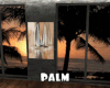 -IC- Palm