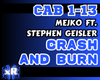 Crash And Burn - Mejko