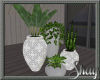 Country House Plants