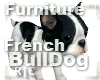 R|C French BullDog BLACK