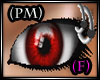 PM) EyeLid  Pierciengs F