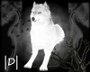 |D| Garou White Wolf [T]