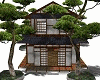 Chinese Stand House