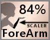Scale ForeArm 84% F
