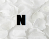 N - White Petals