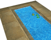 Swimming Pool -Piscina