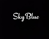 SkyBlue Necklace/F