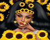 My Sunflower Background