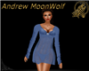 House Gown Blue