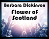 🎧 Flower Scotland 1/2