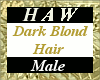 Dark Blond Hair - M