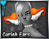 D~Curleh Ears: Orange