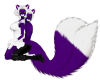 Purple&WhiteMaleFurkini