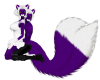 Purplle&whiteMaleFur