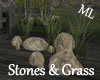 !ML! Rocks & Grass