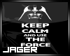Use The Force Poster