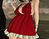 Santa Nightie