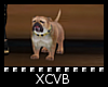 ✘ Animated Bulldog
