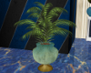 SR~ Blue Pottery Palm