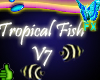 Tropical Fish V7