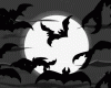 SWH Vampire Bats Ani.
