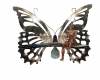 butterfly armchair