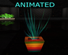 Raver Animated Plant