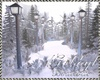 Winter Photoroom