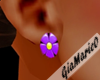 g;purple Daisy earrings