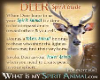 TRIGGER SPIRIT DEER