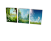 springgardenart