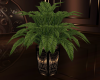 [CI]Potted Plant