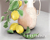H. Lemon Plant Indoor