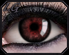 [LG] Eyes Blooded