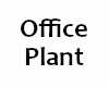 00 Office Plant