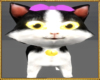 Spooky room cat 3