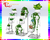 PLANT RACK