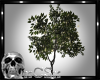 CS Tree w/Lights