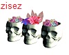 crystal skull pot rose z