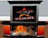 Perth Wildcats Fireplace