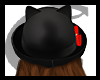 F: Bolo Hat .Cat 