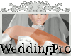 Silver xxl Wedding Gown